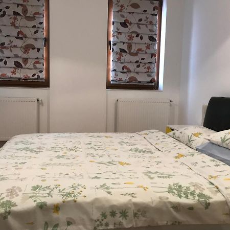 Luxury Apartment Mihai Bravu Bükreş Dış mekan fotoğraf