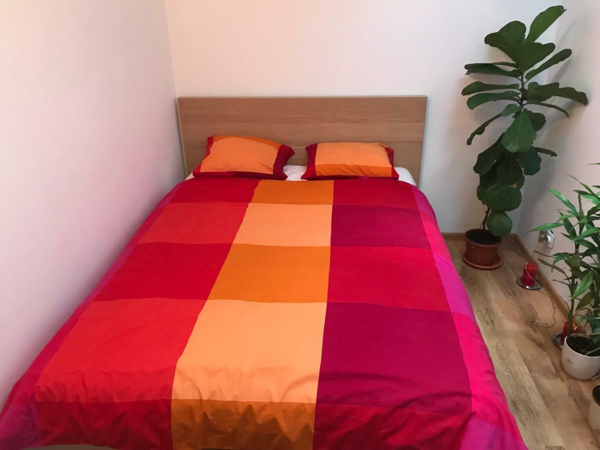 Luxury Apartment Mihai Bravu Bükreş Dış mekan fotoğraf
