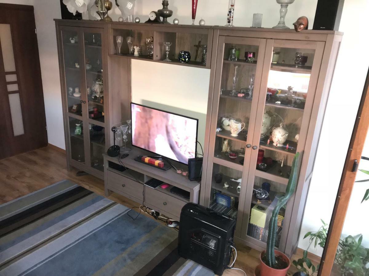 Luxury Apartment Mihai Bravu Bükreş Dış mekan fotoğraf