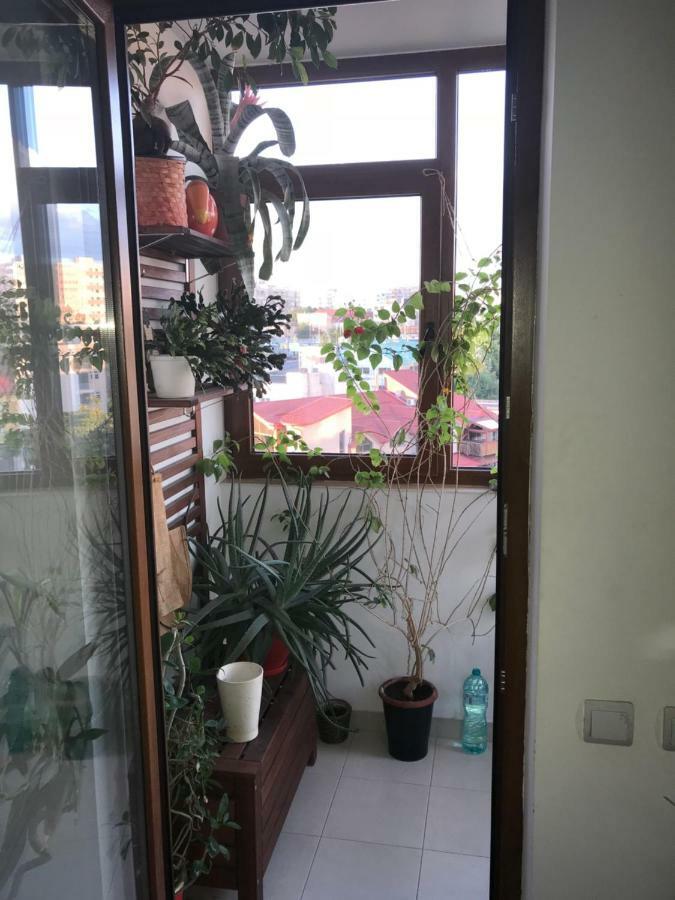 Luxury Apartment Mihai Bravu Bükreş Dış mekan fotoğraf